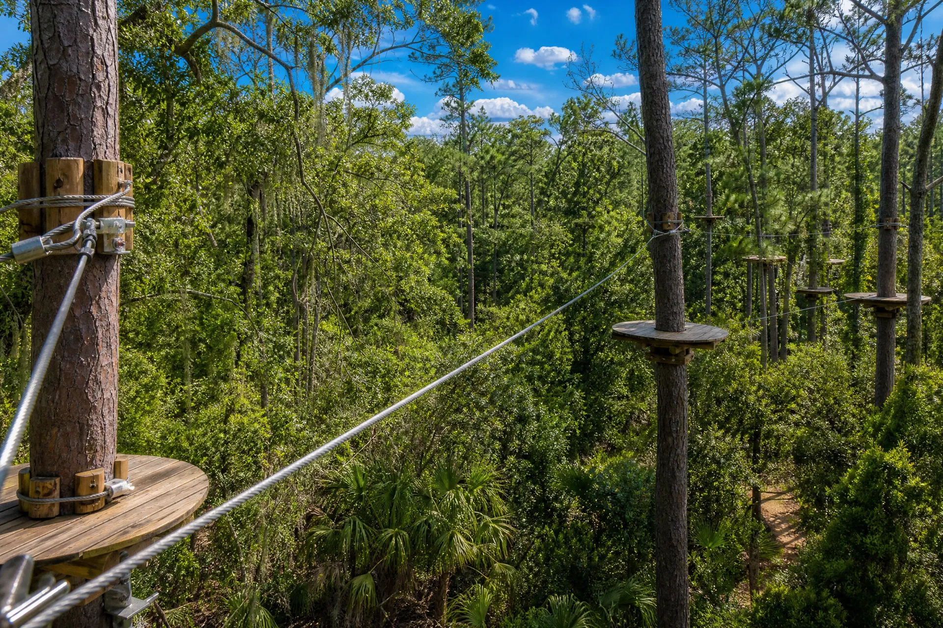 Best Things to Do in Tampa Bay with Teenagers: Adventure, Thrills & the Beach