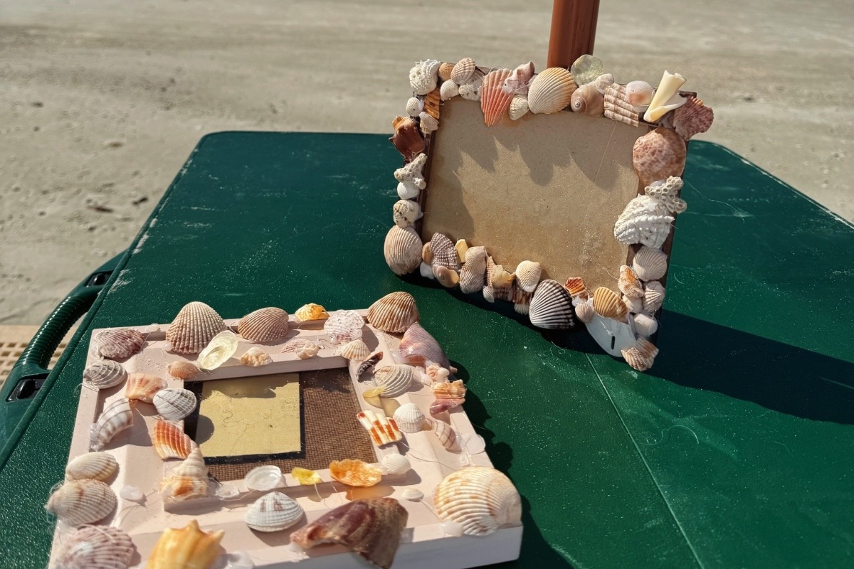 Shelling Memories 🐚