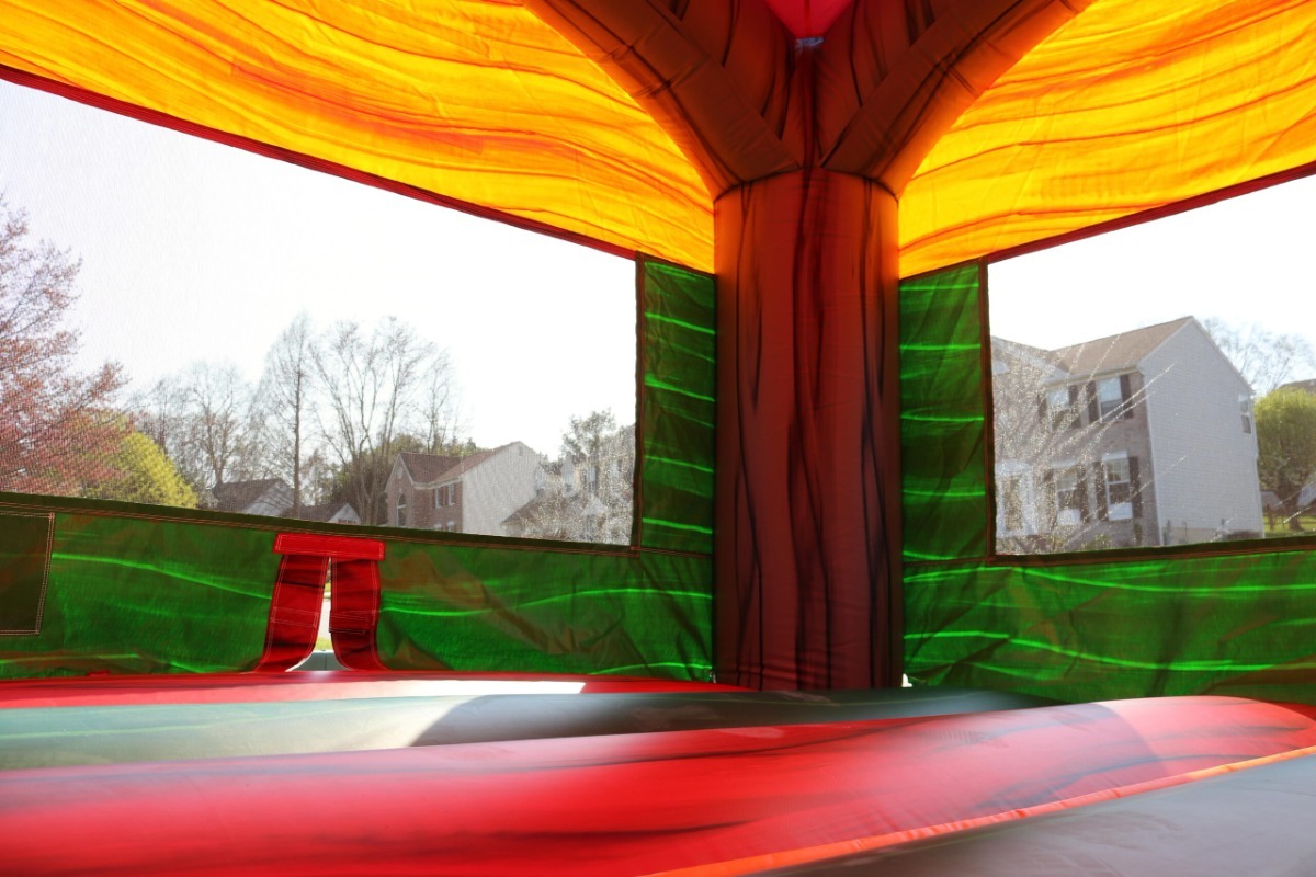 Castle Bounce