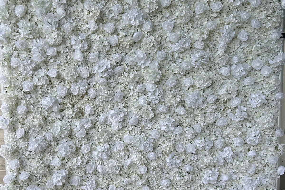 White Bloom Flower Wall